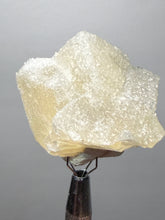 Load image into Gallery viewer, Rare Druzy Golden “Diamond” Calcite on Zeolite Matrix — Maharashtra, India | Collector Cabinet Specimen
