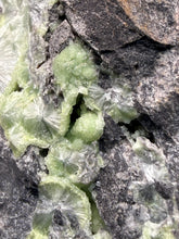 Load image into Gallery viewer, High-Grade Green Wavellite Collectors Specimen - Radiating Botryoidal Crystal Formation - Arkansas, USA
