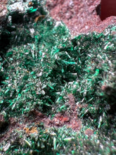 Load image into Gallery viewer, Brochantite Collector Mineral Specimen – Vivid Green Copper Crystals from Morocco
