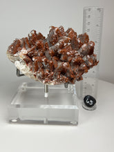 Load image into Gallery viewer, Red Phantom Pagoda Tower Calcite from Hubei Province, China • High Grade High Shine • Stand Included • Mineral Collector’s Showpiece
