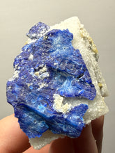 Load image into Gallery viewer, Afghanite &amp; Lazurite on Matrix Collector Display Specimen | Badakhshan Region, Afghanistan

