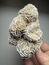 Load image into Gallery viewer, Desert Rose Selenite (Gypsum) — Mineral Display Specimen | Mexico
