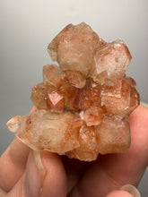 Load image into Gallery viewer, Rare Red Apophyllite Crystal Cluster – High Grade Collector Mineral Specimen | India

