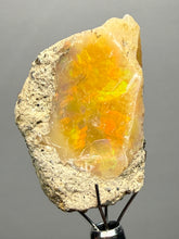 Load image into Gallery viewer, Precious Opal with Color Play | Welo, Ethiopia
