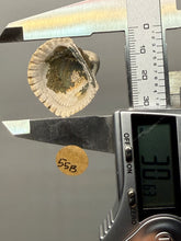 Load image into Gallery viewer, Bivalve (Pelecypoda) Fossil Sea Shell with Chalcopyrite | Mineralized Fossil Specimen | Indonesia
