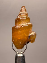 Load image into Gallery viewer, Agatized Gastropod Fossil Specimen | Morocco
