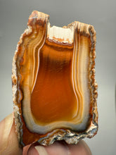 Load image into Gallery viewer, High-Grade Indonesian Sumatra Agate Pair – Vibrant Banded Chalcedony with Rich Color Zoning | Ethical Lapidary &amp; Collector Display Specimens
