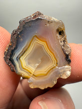 Load image into Gallery viewer, Lot of 9 Small Malawi Agate Halves – Polished Rare Colorful Collector Specimens
