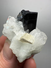 Load image into Gallery viewer, Dark Green Cap Stak Nala Tourmaline on Cleavelandite Matrix – Haramosh Mountains, Pakistan
