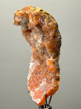 Load image into Gallery viewer, Sunset Goblin Chalcedony Botryoidal Stalactite | Sidi Rahal, Morocco (Western Sahara) Mineral Display Specimen

