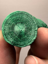 Load image into Gallery viewer, 2.5” High-Grade Malachite Stalactite “Cave” Formation | DR Congo | Mineral Collector Specimen
