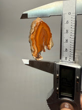 Load image into Gallery viewer, High-Grade Indonesian Sumatra Agate Pair – Vibrant Banded Chalcedony with Rich Color Zoning | Ethical Lapidary &amp; Collector Display Specimens
