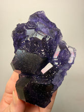 Load image into Gallery viewer, High-Grade “Tanzanite” Fluorite Cluster — Quan Zhou, Yongchun County, Fujian, China | Collector Mineral Specimen

