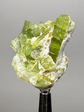 Load image into Gallery viewer, Lime Green Tourmaline on Matrix– Pegmatite Mineral Specimen from Pakistan
