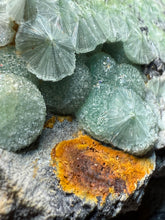 Load image into Gallery viewer, High-Grade Green Wavellite Collectors Specimen - Radiating Botryoidal Crystal Formation - Arkansas, USA
