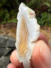 Load image into Gallery viewer, High-Grade Parallax Banded Laguna Agate – Soft Yellow &amp; White Banding from Mexico
