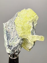 Load image into Gallery viewer, Vibrant Yellow Brucite Thumbnail Mineral Specimen | Collector Crystal from Killa Saifullah District in Balochistan Province, Pakistan
