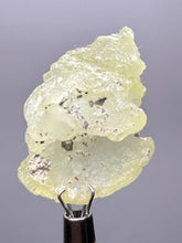 Load image into Gallery viewer, Vibrant Yellow Brucite Thumbnail Mineral Specimen | Collector Crystal from Killa Saifullah District in Balochistan Province, Pakistan
