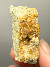 Load image into Gallery viewer, Hessonite Garnet Cluster on Matrix – Natural Collector Specimen from Pakistan | High-Grade Orange-Red Garnet Crystals
