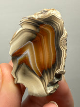 Load image into Gallery viewer, Premium Sumatra Agate (Banded Chalcedony) Display Specimen | Indonesia
