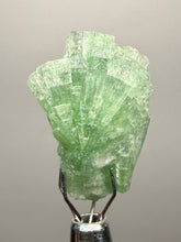 Load image into Gallery viewer, Green Radial “Disco Ball” Apophyllite | Maharashtra, India
