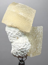 Load image into Gallery viewer, Rare Druzy Golden “Diamond” Calcite on Zeolite Matrix — Maharashtra, India | Collector Cabinet Specimen
