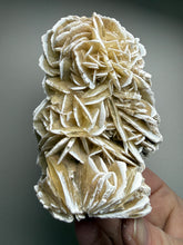 Load image into Gallery viewer, Desert Rose Selenite (Gypsum) — Mineral Display Specimen | Mexico
