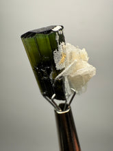 Load image into Gallery viewer, Dark Green Stak Nala Tourmaline and Cleavelandite – Haramosh Mountains, Pakistan | Thumbnail Specimen
