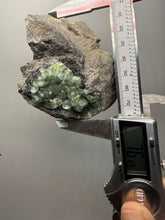 Load image into Gallery viewer, High-Grade Green Wavellite Collectors Specimen - Radiating Botryoidal Crystal Formation - Arkansas, USA
