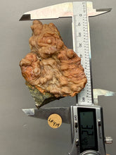 Load image into Gallery viewer, Chalcedony Quartz Rose Agate Collector Mineral Specimen – Morocco
