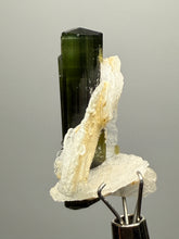 Load image into Gallery viewer, Dark Green Cap Stak Nala Tourmaline with Cleavelandite Flower – Haramosh Mountains, Pakistan | Thumbnail Specimen
