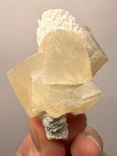 Load image into Gallery viewer, Rare Druzy Golden “Diamond” Calcite on Zeolite Matrix — Maharashtra, India | Collector Cabinet Specimen
