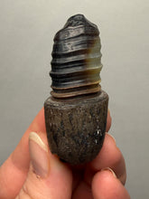 Load image into Gallery viewer, Naturally Sand-Chiseled Gobi Eye Agate | Inner Mongolia Desert Sculpted Specimen

