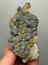 Load image into Gallery viewer, Moroccan Galena with Druzy Pyrite on Quartz | Collector Display Specimen
