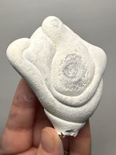 Load image into Gallery viewer, Chichaoua Menalite “Fairy Stone” Concretion | Natural Collector Display Specimen | Morocco
