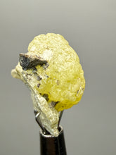 Load image into Gallery viewer, Vibrant Yellow Brucite Thumbnail Mineral Specimen | Collector Crystal from Killa Saifullah District in Balochistan Province, Pakistan
