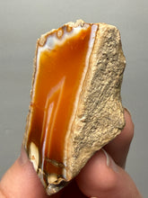 Load image into Gallery viewer, Premium Sumatra Agate (Banded Chalcedony) Display Specimen | Indonesia
