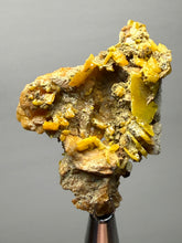 Load image into Gallery viewer, High-Grade Orange Wulfenite Collector Display Specimen | La Morita Mine, Chihuahua, Mexico
