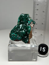 Load image into Gallery viewer, Dioptase Cluster from Congo • High Grade • Mineral Collector’s Specimen Showpiece
