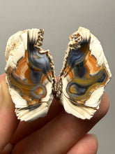 Load image into Gallery viewer, Premium Sumatra Agate Pair (Banded Chalcedony) Display Specimen | Indonesia
