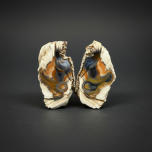 Load image into Gallery viewer, Premium Sumatra Agate Pair (Banded Chalcedony) Display Specimen | Indonesia
