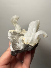 Load image into Gallery viewer, RARE COMBO Moroccan Ram’s Horn Selenite (Gypsum) with Yellow Botryoidal Fluorite Display Specimen
