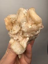 Load image into Gallery viewer, High-Grade Apophyllite on Pink Stilbite Zeolite | Indian Collector Mineral Specimen

