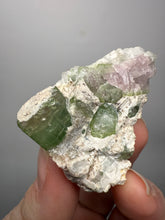 Load image into Gallery viewer, Watermelon Tourmaline on Quartz Matrix – Collector Mineral Specimen from Pakistan
