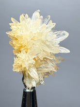 Load image into Gallery viewer, 1.4” High-Grade Flower Calcite Specimen | Wenshan Mine, Yunnan, China | Collector Mineral Display
