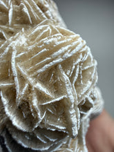 Load image into Gallery viewer, Desert Rose Selenite (Gypsum) — Mineral Display Specimen | Mexico
