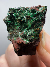 Load image into Gallery viewer, Brochantite Collector Mineral Specimen – Vivid Green Copper Crystals from Morocco
