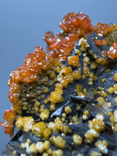Load image into Gallery viewer, Natural Vanadinite on Matrix | Collector Mineral Specimen | Morocco
