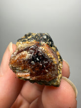 Load image into Gallery viewer, Naturally Faceted Zircon Crystal on Pegmatite–Biotite Matrix • Pakistan Mineral Specimen

