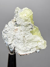 Load image into Gallery viewer, Vibrant Yellow Brucite Thumbnail Mineral Specimen | Collector Crystal from Killa Saifullah District in Balochistan Province, Pakistan
